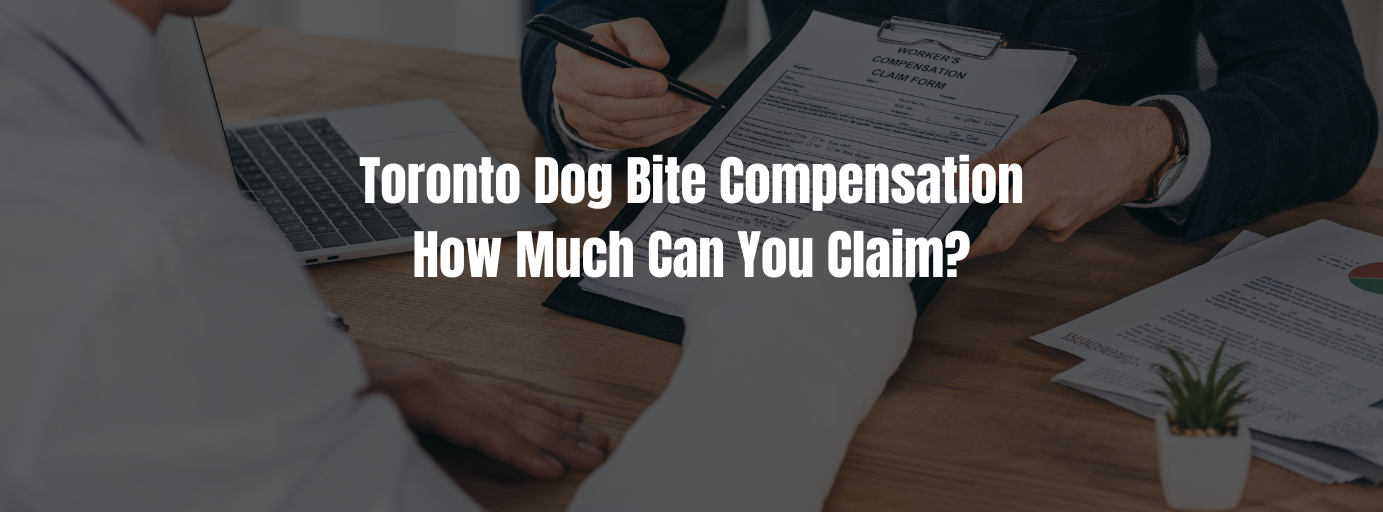 dog bite compensation